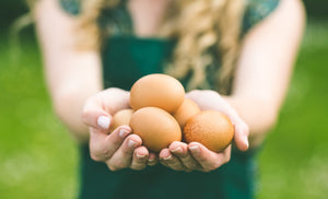 Backyard Chicken Care