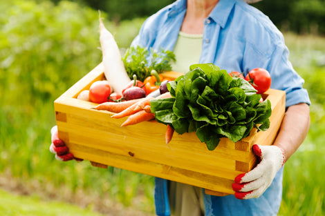 Backyard Gardening