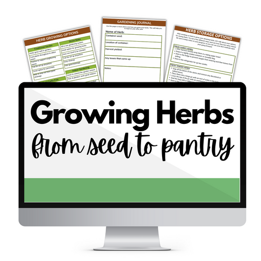 Growing Herbs from Seed to Pantry!