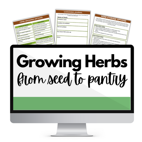 Growing Herbs from Seed to Pantry!