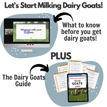 Let's Start Milking Dairy Goats!