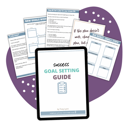 Success Goal Setting Guide