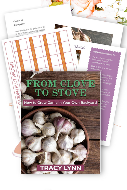 From Clove to Stove eBook