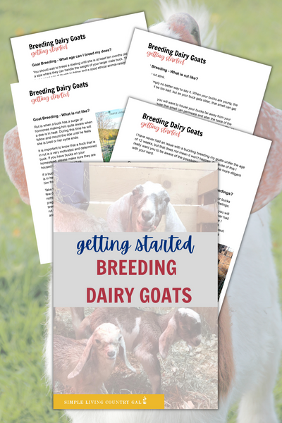 Getting Started Breeding Dairy Goats eBook
