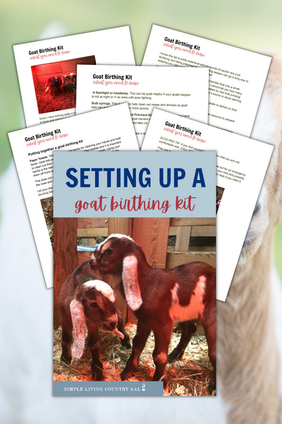 Setup a Goat Birthing Kit eBook