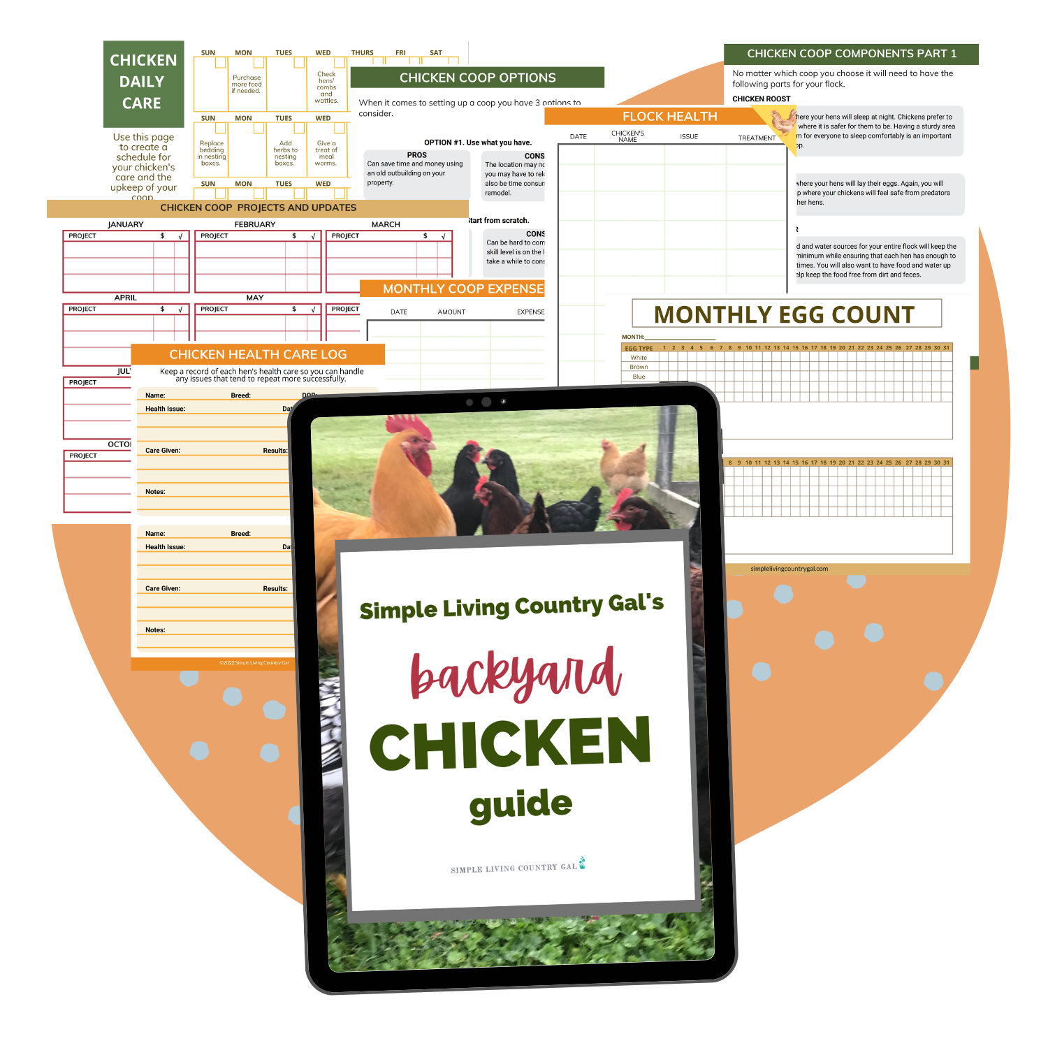Backyard Chicken Guide and Record Journal