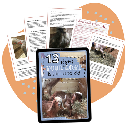 13 Signs Your Goat is About to Kid eBook